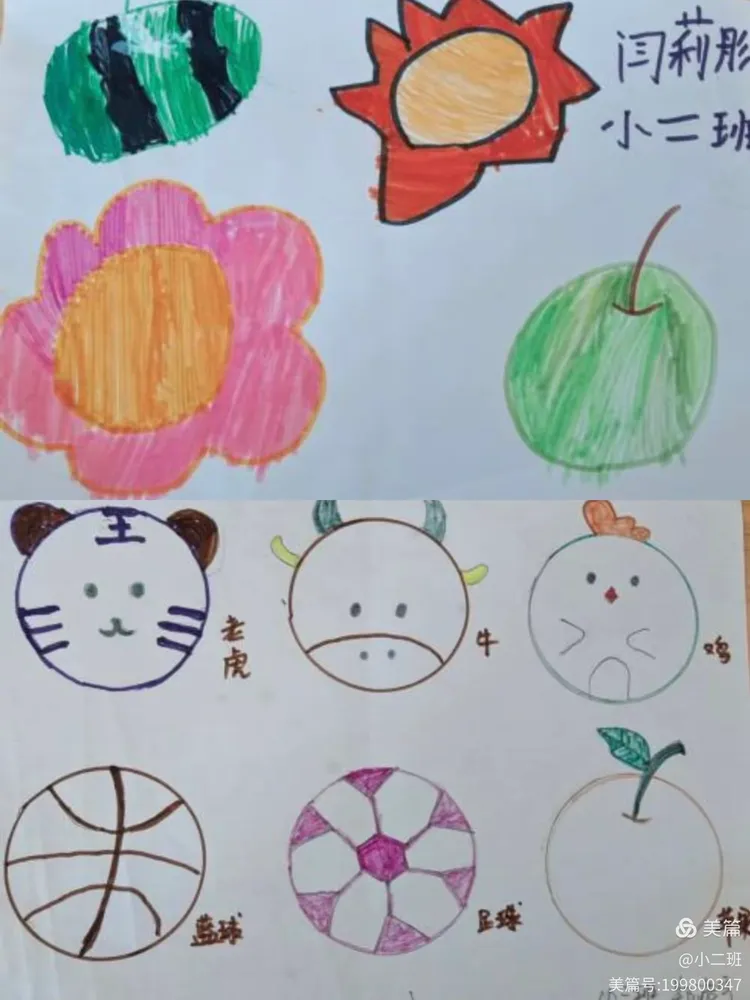 未央区小天鹅幼儿园小二班 班本课程"圆圆的世界"